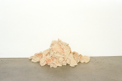 CLAYDD_MAYA-FUHR100-2