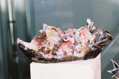 maya231-052